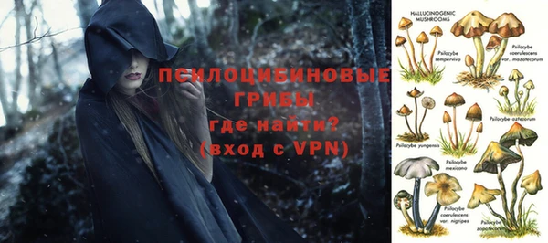 2c-b Нязепетровск