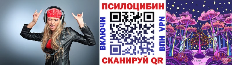 цены   Азов  Псилоцибиновые грибы Psilocybine cubensis 